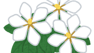 カラスウリの花をご存じですか？🌼