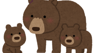 自然と人との距離を大切に🌿