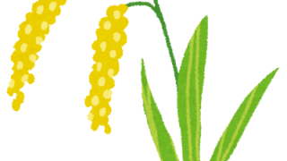 我が家の備蓄米？🌾