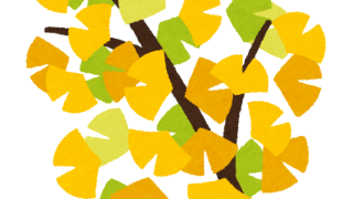 🍁秋の味覚😋