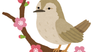 春はすぐそこに🌸