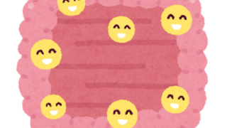 腸活について🤔