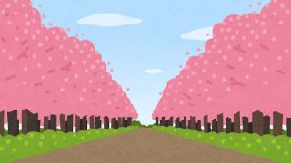 桜の季節です🌸